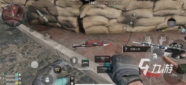 球队的年轻 球队的年轻