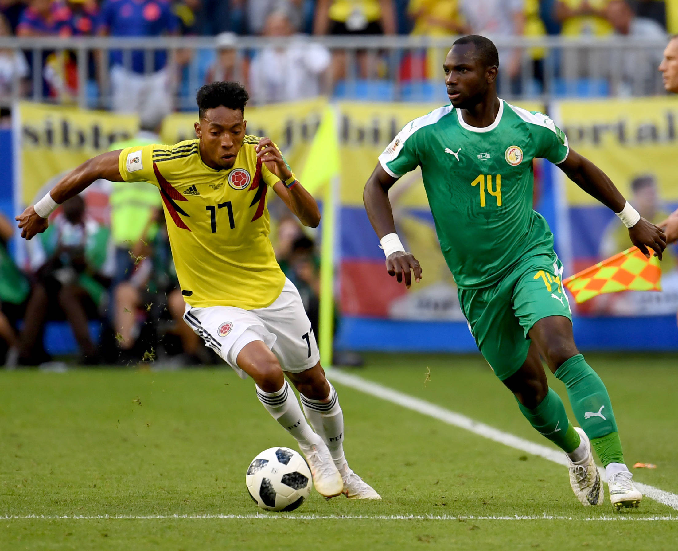 赛经历告诉 赛经历告诉